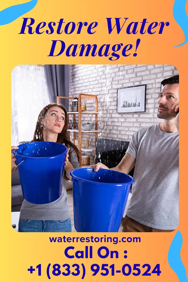 water restoration Complete Water Mitigation Team Rochester