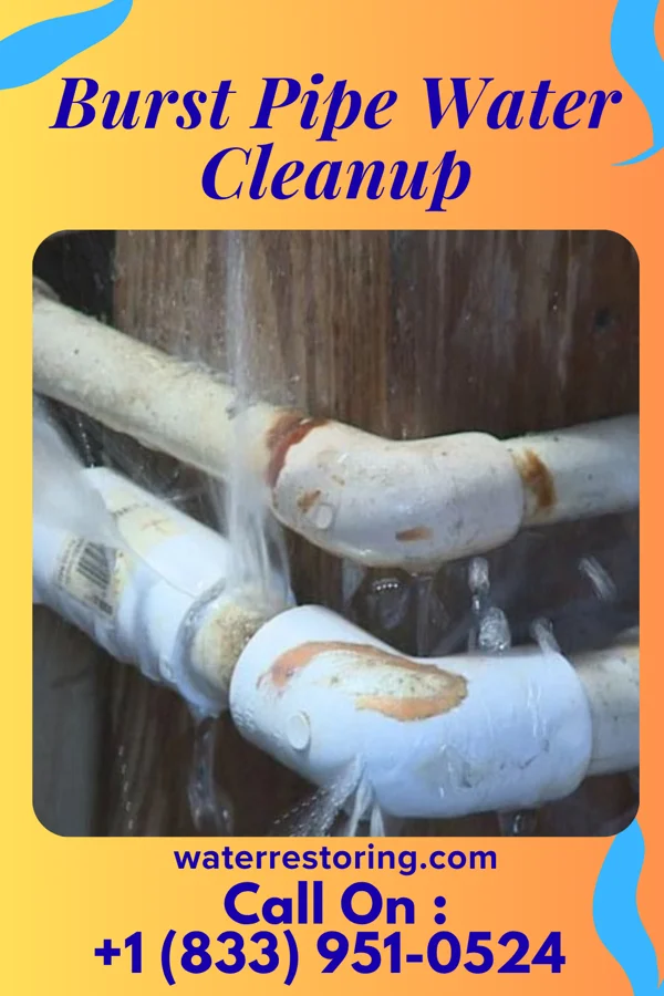 Burst Pipe Water Cleanup in Rochester, OH
