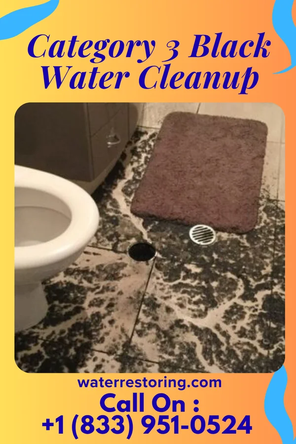 Category 3 Black Water Cleanup in Rochester, OH