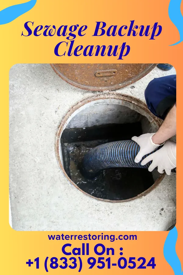 Sewage Backup Cleanup in Rochester, OH