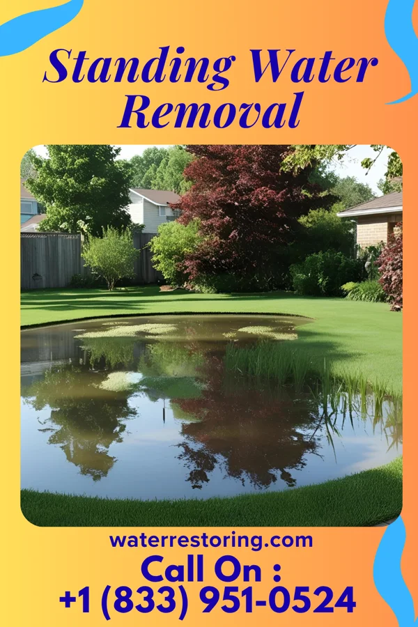 Standing Water Removal in Rochester, OH
